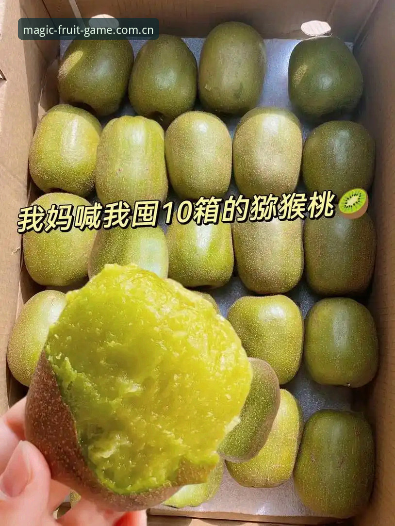 奇异果体育用户评价 奇异果体育平台用户评价全解析:新手体验与操作指南
