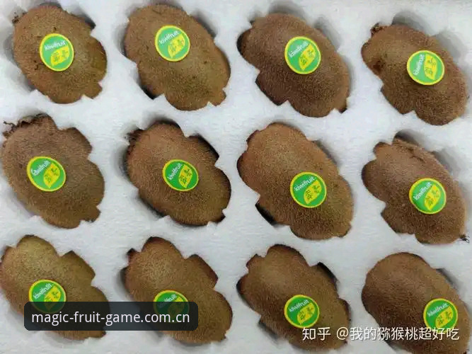 奇异果体育用户评价安卓版完整指南：技术评测与下载策略分析