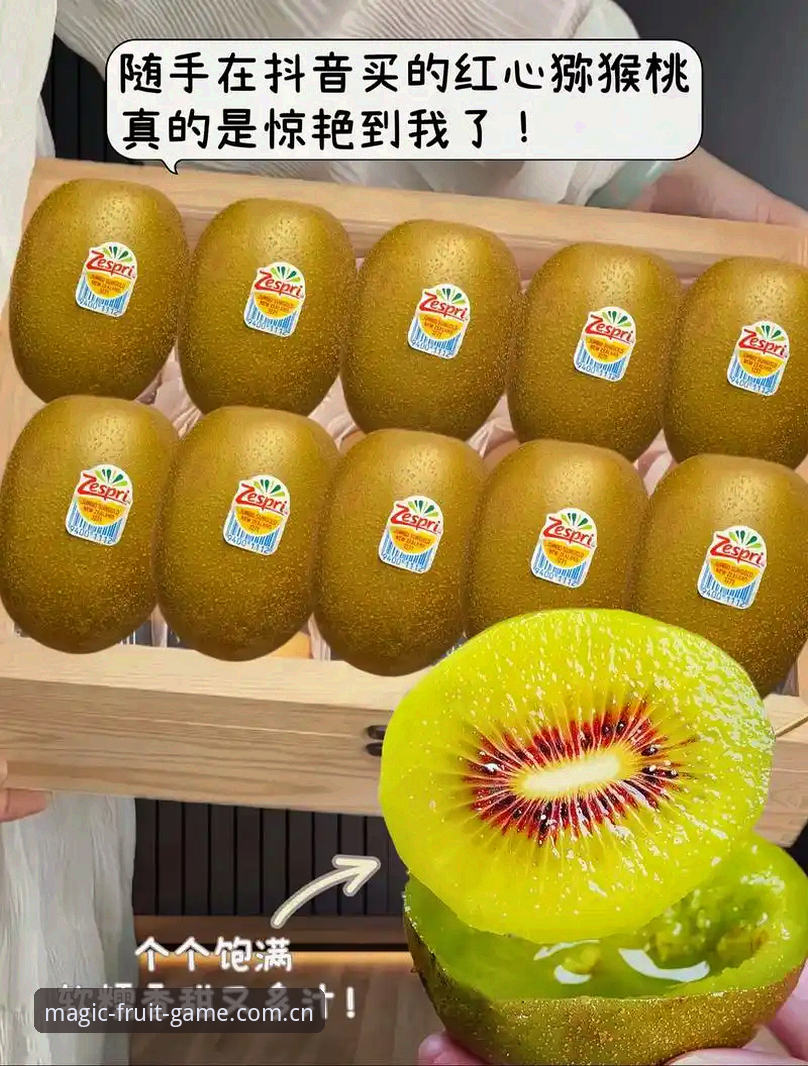 奇异果体育中国官方 vs 传统体育平台：用户为何更倾向这个选择？