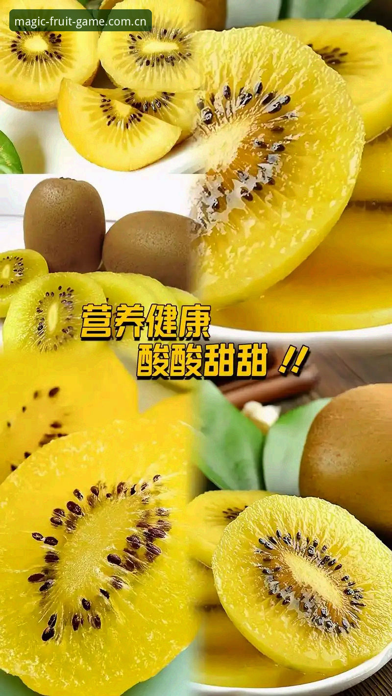 奇异果体育平台深度分析：最新版本靠谱吗？老用户亲测体验全面解析