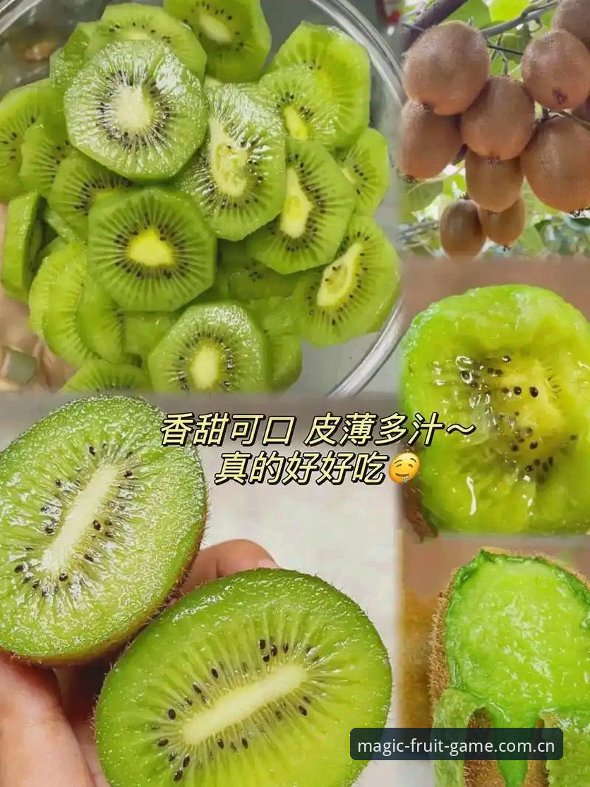 奇异果体育体验 奇异果体育体验 vs 传统体育平台:一场革新与突破的全面对比